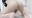 2022-07-10 19:09の投稿