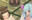 2022-07-19 16:58の投稿
