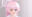 2022-07-23 00:57の投稿