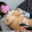 2022-07-30 07:00の投稿