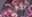 2019-03-25 18:26の投稿