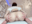 2022-07-30 18:08の投稿