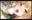 2019-03-27 00:00の投稿