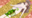 2022-08-10 10:16の投稿