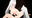 2022-08-11 03:07の投稿