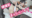 2022-08-11 21:33の投稿