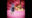 2022-08-19 00:00の投稿
