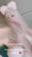 2022-08-30 01:00の投稿