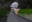 2022-09-01 00:00の投稿