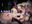 2022-09-03 09:31の投稿