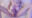 2022-09-05 08:08の投稿