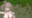 2022-09-16 00:00の投稿