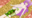 2022-09-08 17:58の投稿
