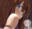 2022-09-11 02:13の投稿