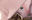 2019-04-17 04:02の投稿