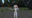 2022-09-17 00:00の投稿