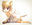 2019-04-18 14:29の投稿