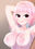 2019-04-21 20:09の投稿
