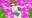 2022-09-26 20:29の投稿