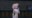 2022-10-13 00:00の投稿