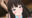 2022-10-04 09:11の投稿