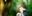 2019-04-29 20:54の投稿