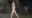 2022-10-19 00:00の投稿