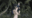 2022-10-18 00:00の投稿