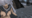 2022-10-19 00:00の投稿