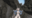 2022-10-26 00:00の投稿