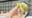 2019-05-04 19:32の投稿