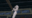2022-10-24 00:00の投稿