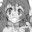 2019-05-05 19:41の投稿