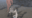 2022-11-08 00:00の投稿