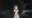 2022-11-12 00:00の投稿