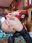 2022-11-20 11:00の投稿