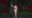 2022-11-13 00:00の投稿