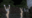 2022-11-14 00:00の投稿