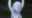 2022-12-10 00:00の投稿
