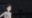 2022-11-19 00:00の投稿