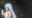2022-11-20 00:00の投稿