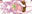2022-11-20 00:00の投稿