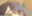 2022-11-20 01:55の投稿