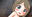 2022-11-21 20:14の投稿
