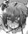 2019-05-20 05:13の投稿