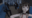 2022-12-16 00:00の投稿