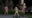 2022-11-23 00:00の投稿