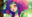 2019-05-24 20:13の投稿