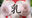 2022-11-30 04:46の投稿