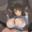 2019-05-24 23:39の投稿